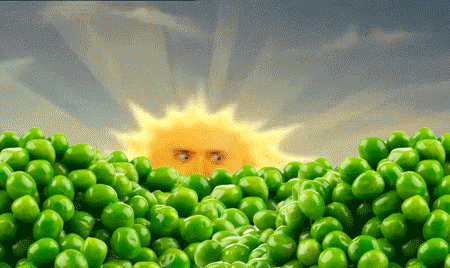Teletubbies sun as Nic Cage