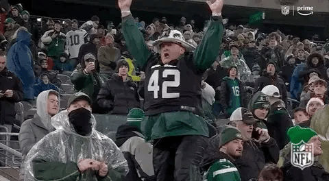 GIF of New York Jets Fans 