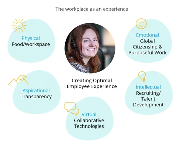 the workplace as experience the workplace as experience