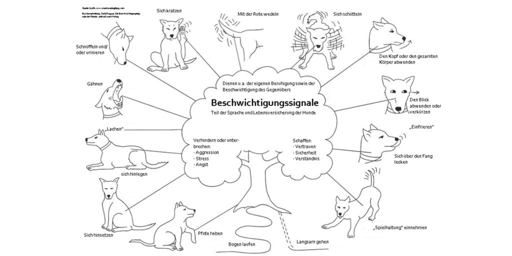 IKone #28: Beschwichtigungssignale von Hunden